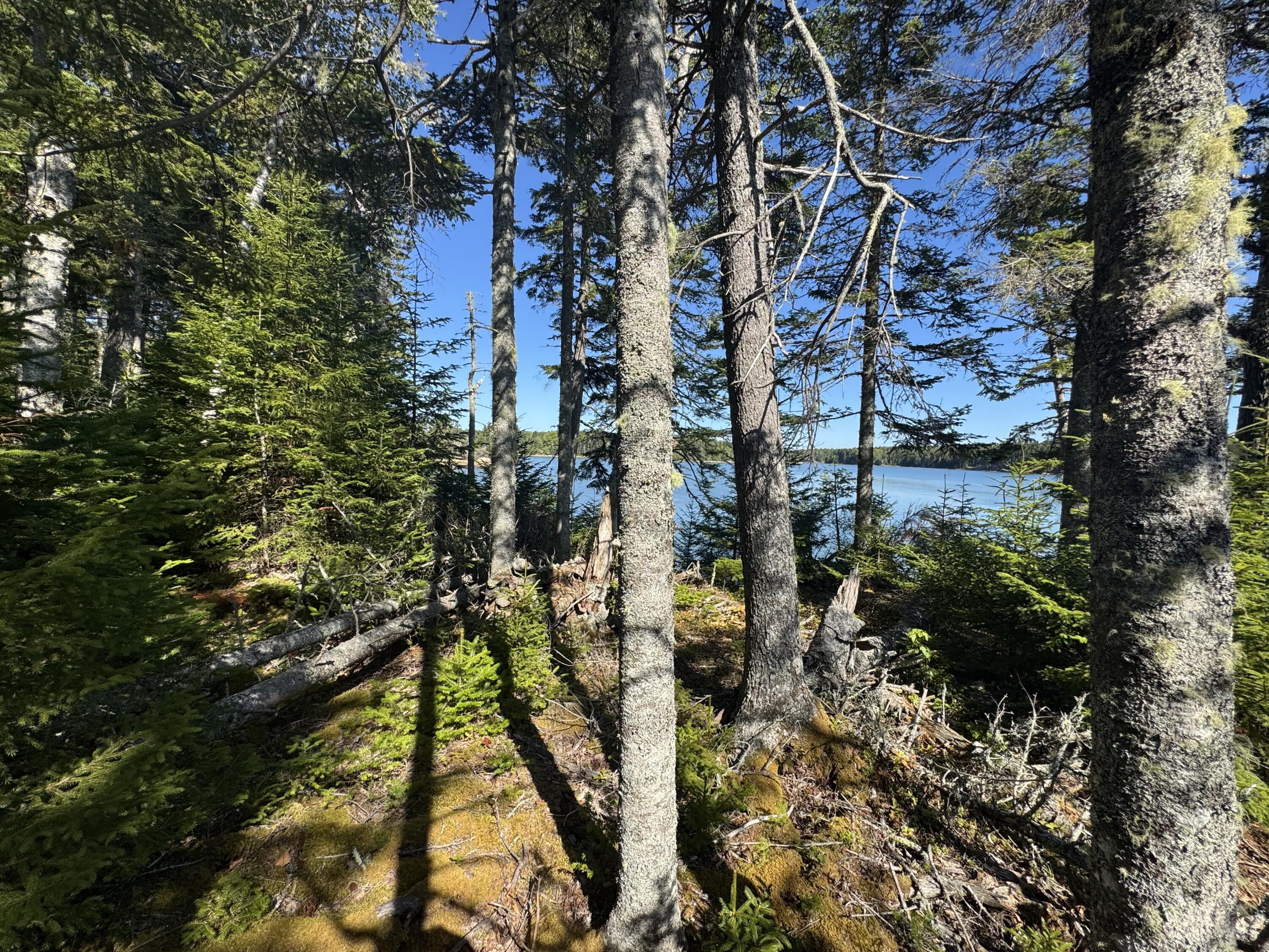 12 Quiet Shore Steuben ME 04680