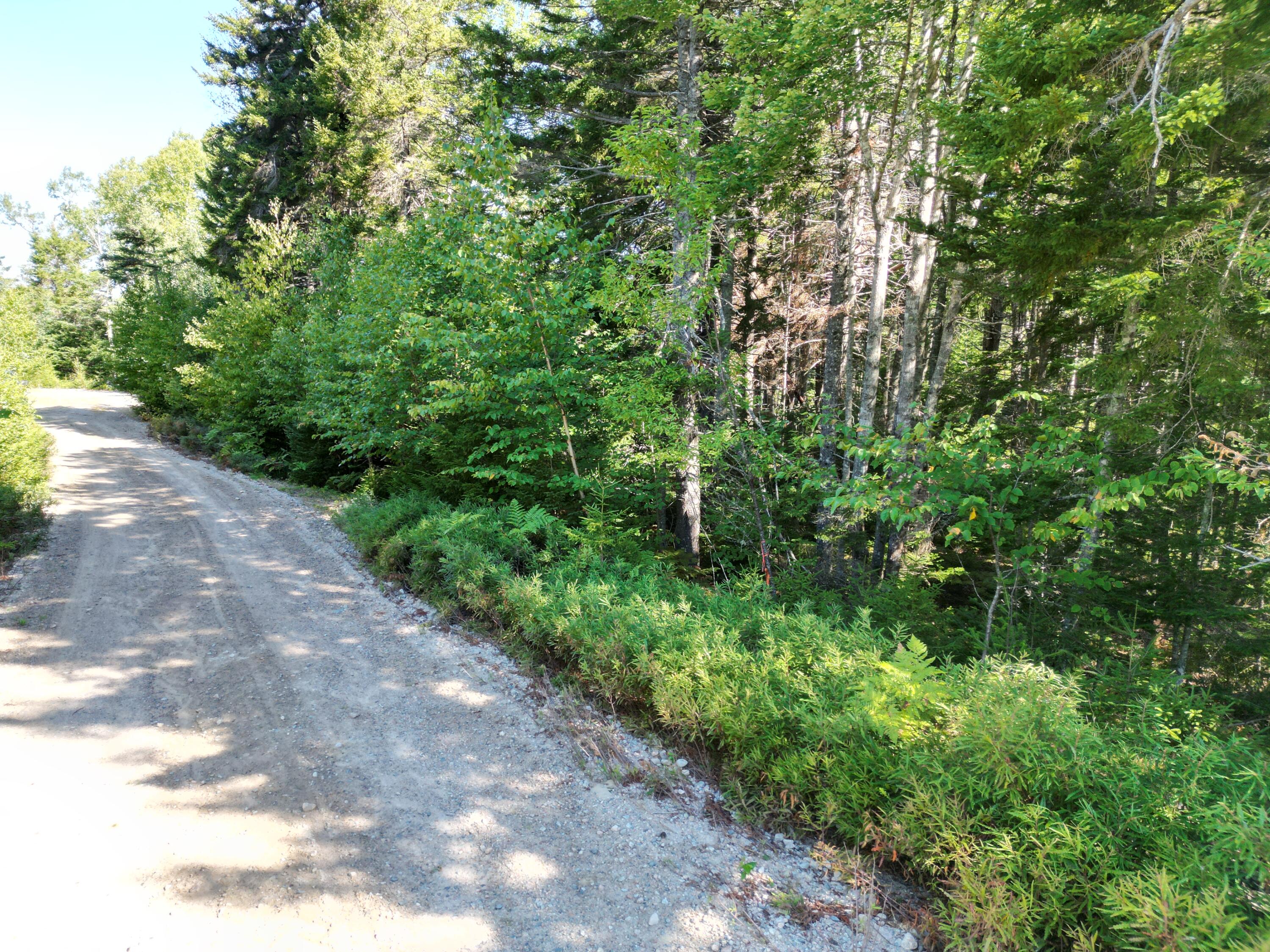 12 Quiet Shore Steuben ME 04680