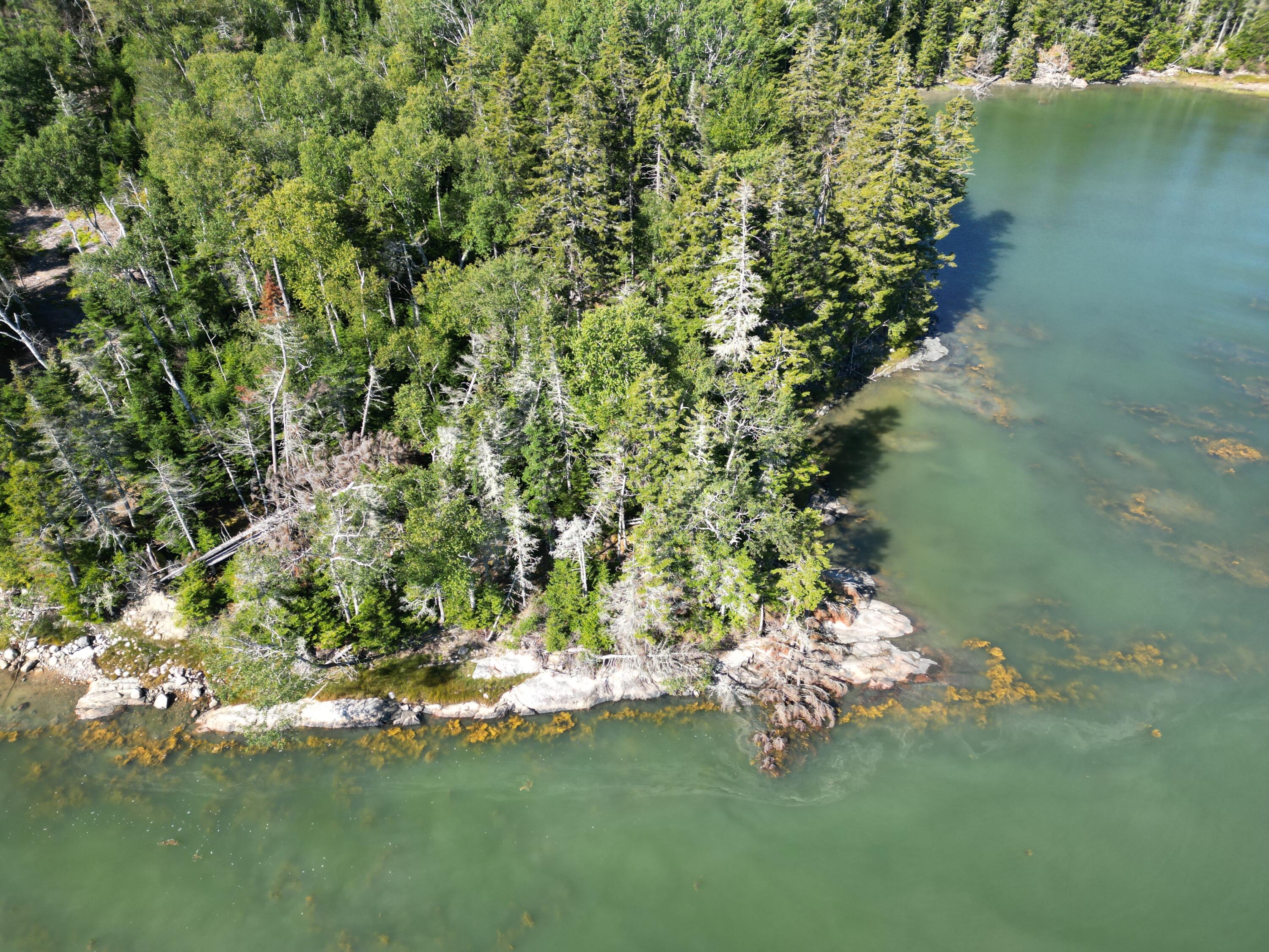 12 Quiet Shore Steuben ME 04680