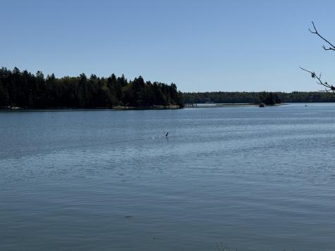 12 Quiet Shore Steuben ME 04680