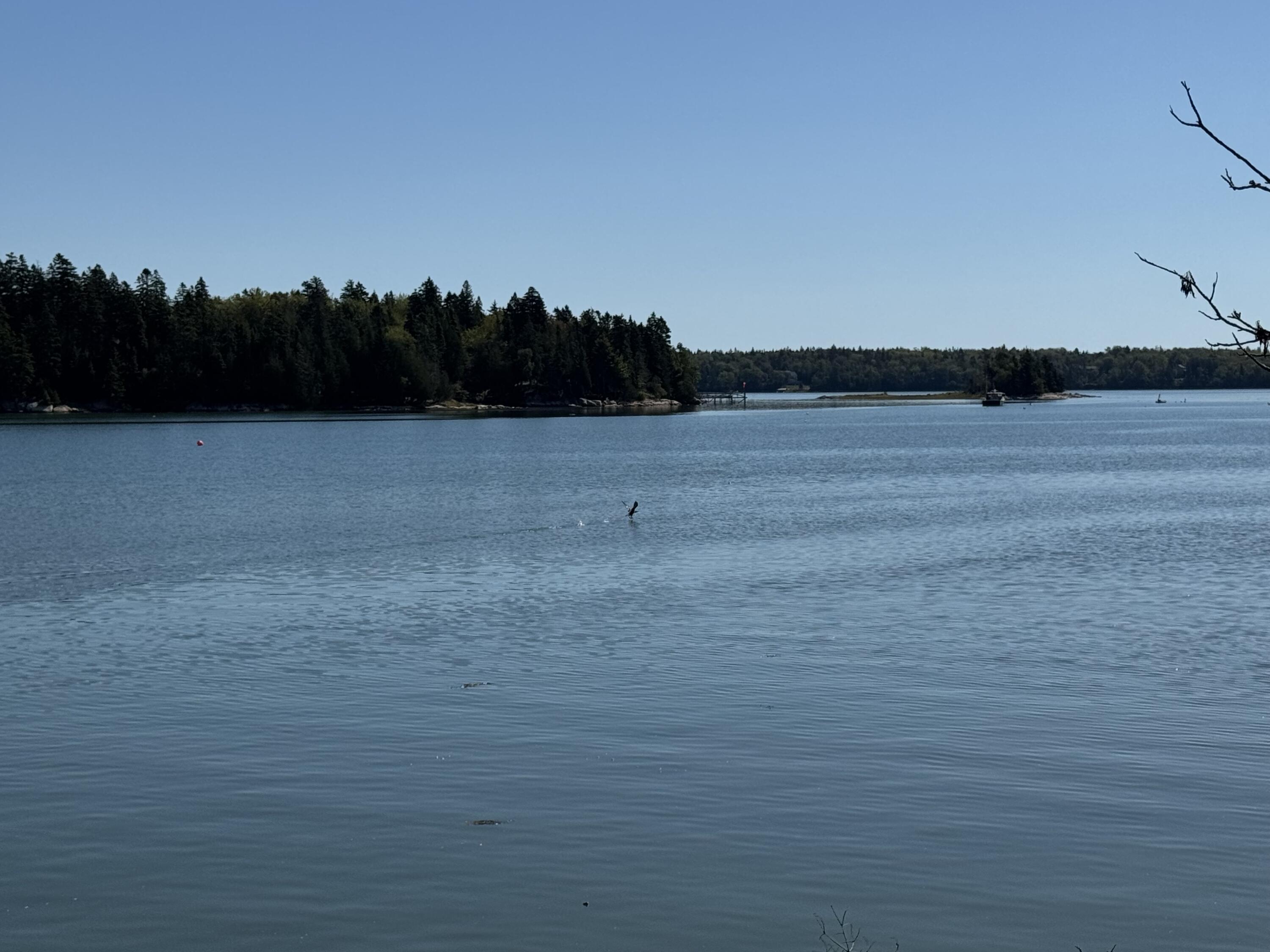 12 Quiet Shore Steuben ME 04680