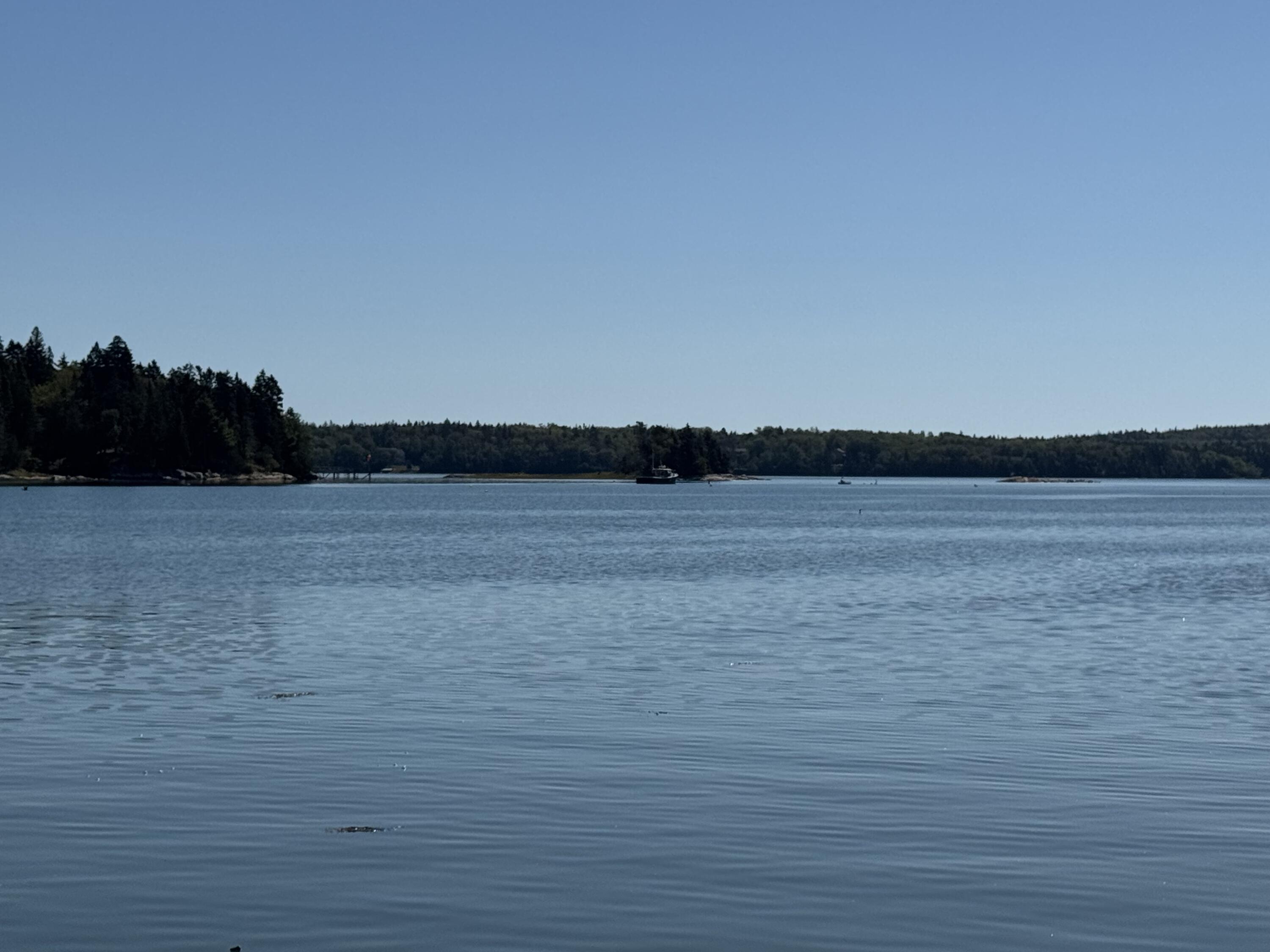 12 Quiet Shore Steuben ME 04680