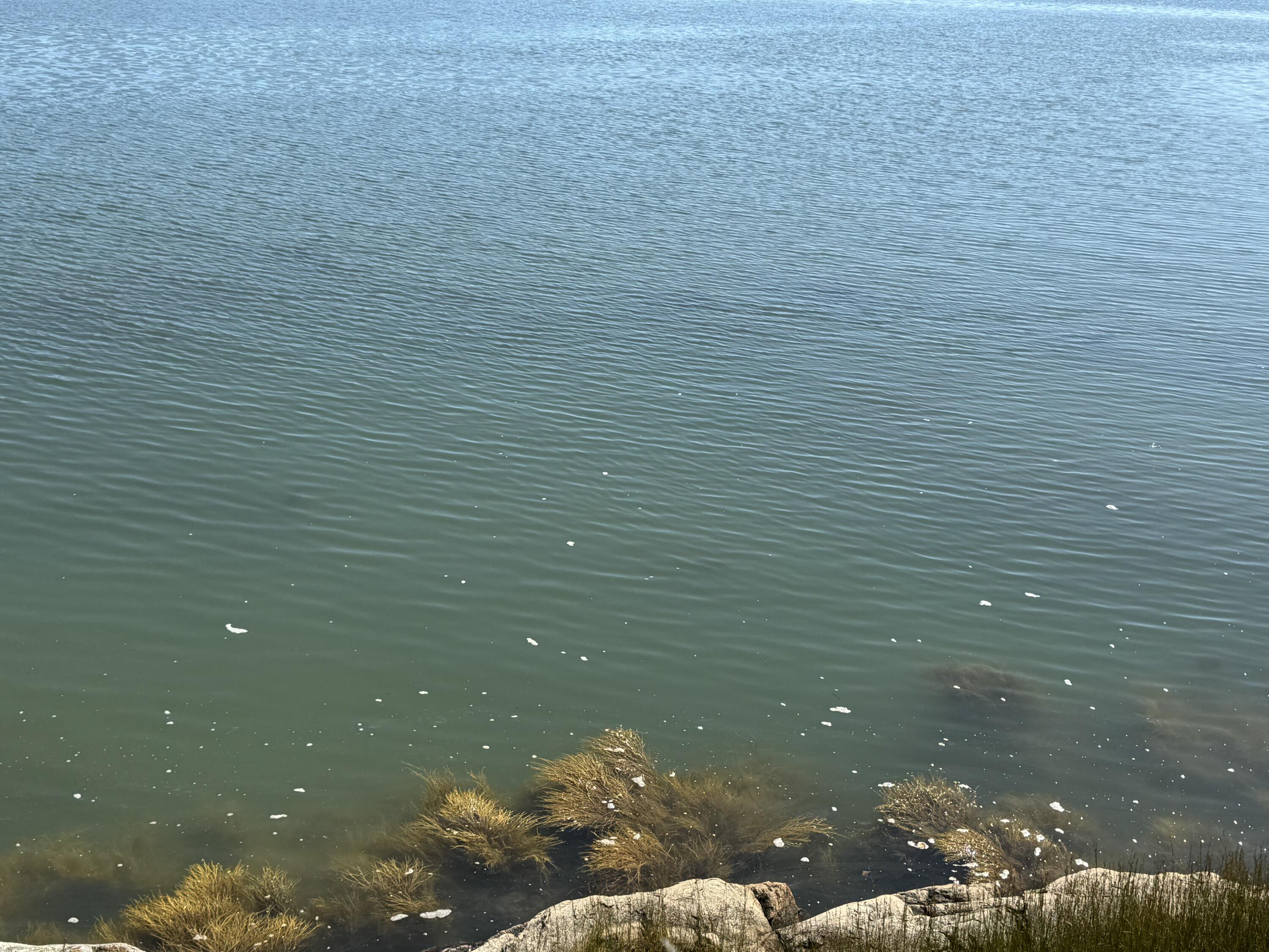 12 Quiet Shore Steuben ME 04680