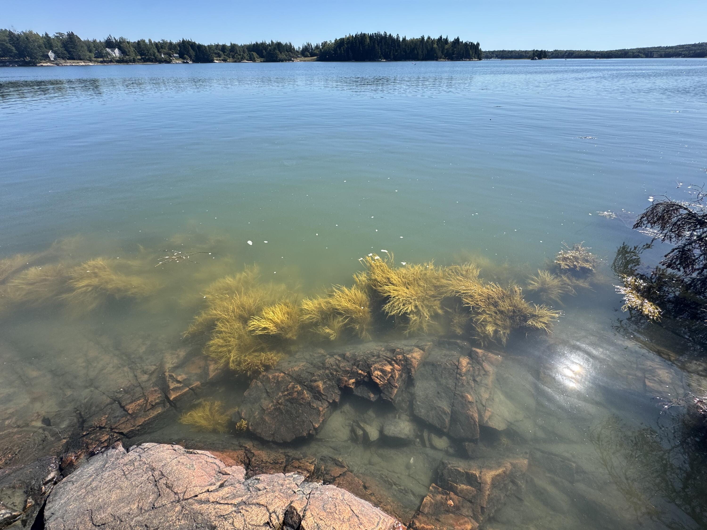 12 Quiet Shore Steuben ME 04680