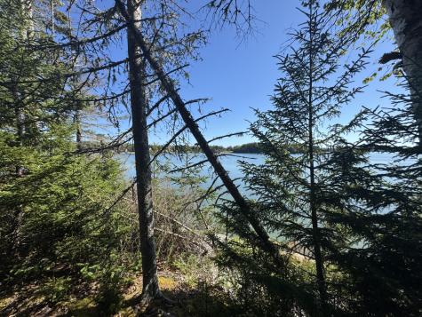 12 Quiet Shore Steuben ME 04680