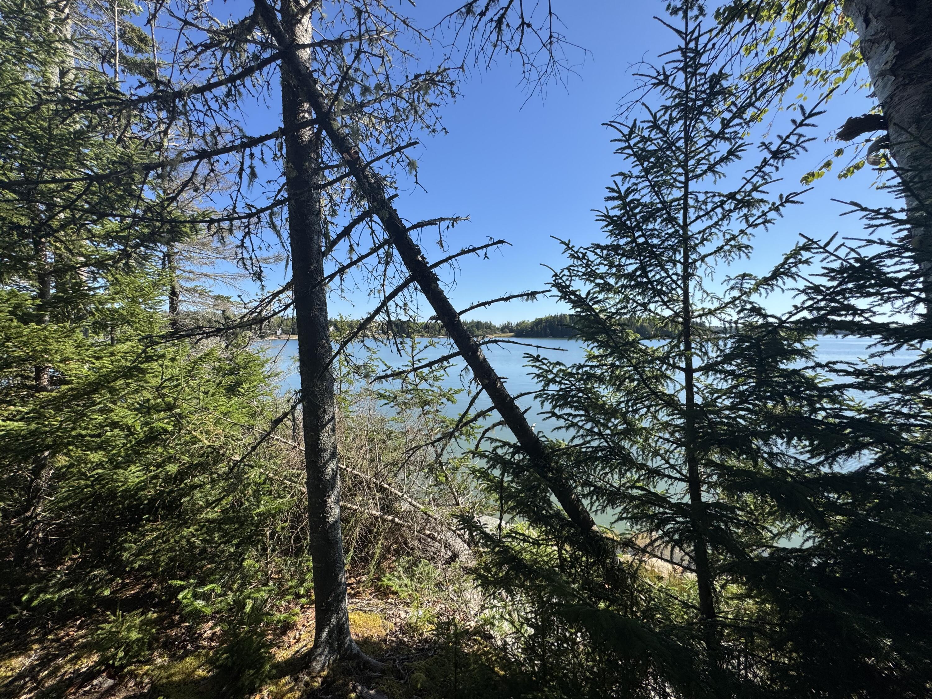 12 Quiet Shore Steuben ME 04680