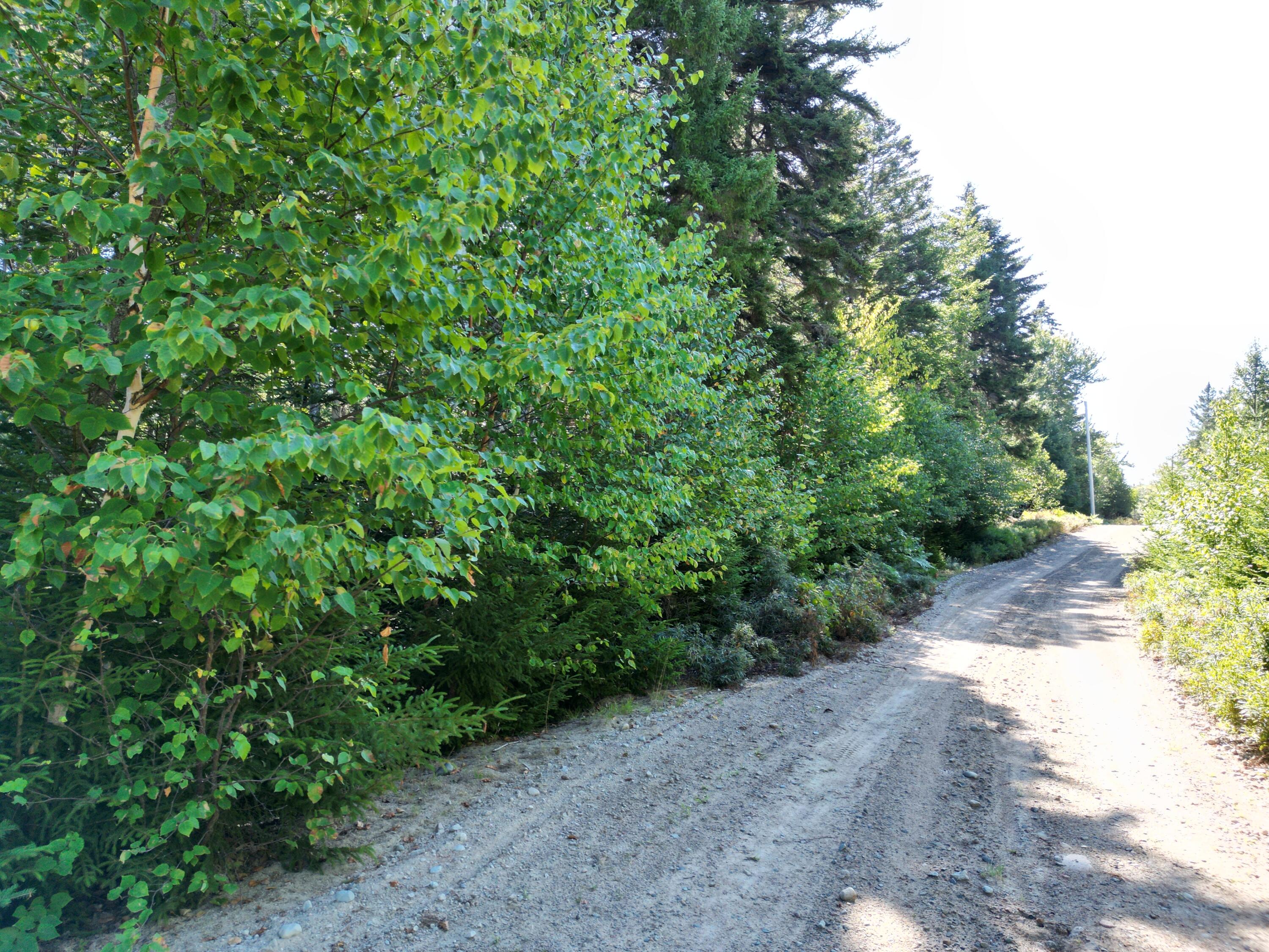 12 Quiet Shore Steuben ME 04680