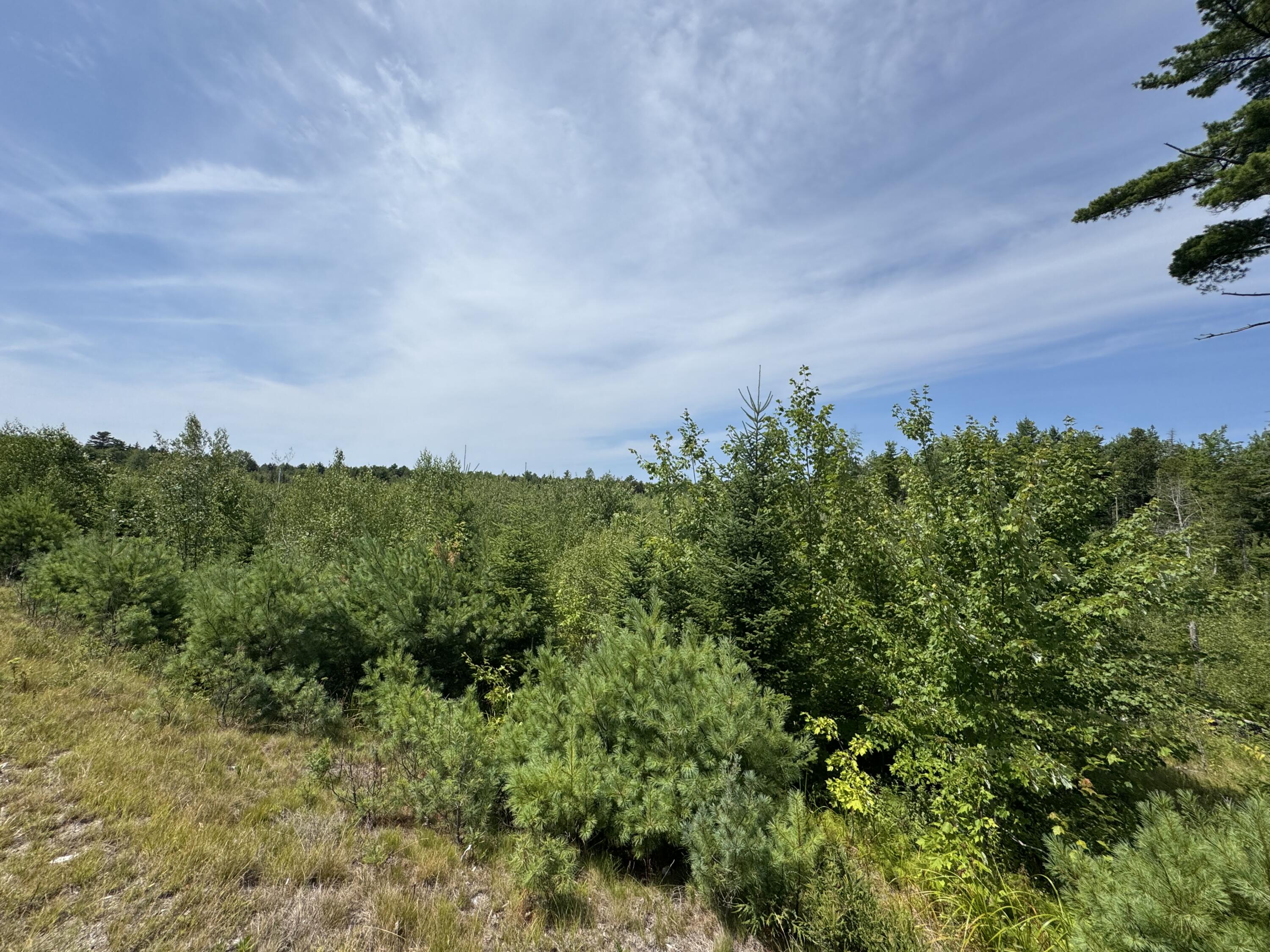 23-003-l Route 1 Gouldsboro ME 04607