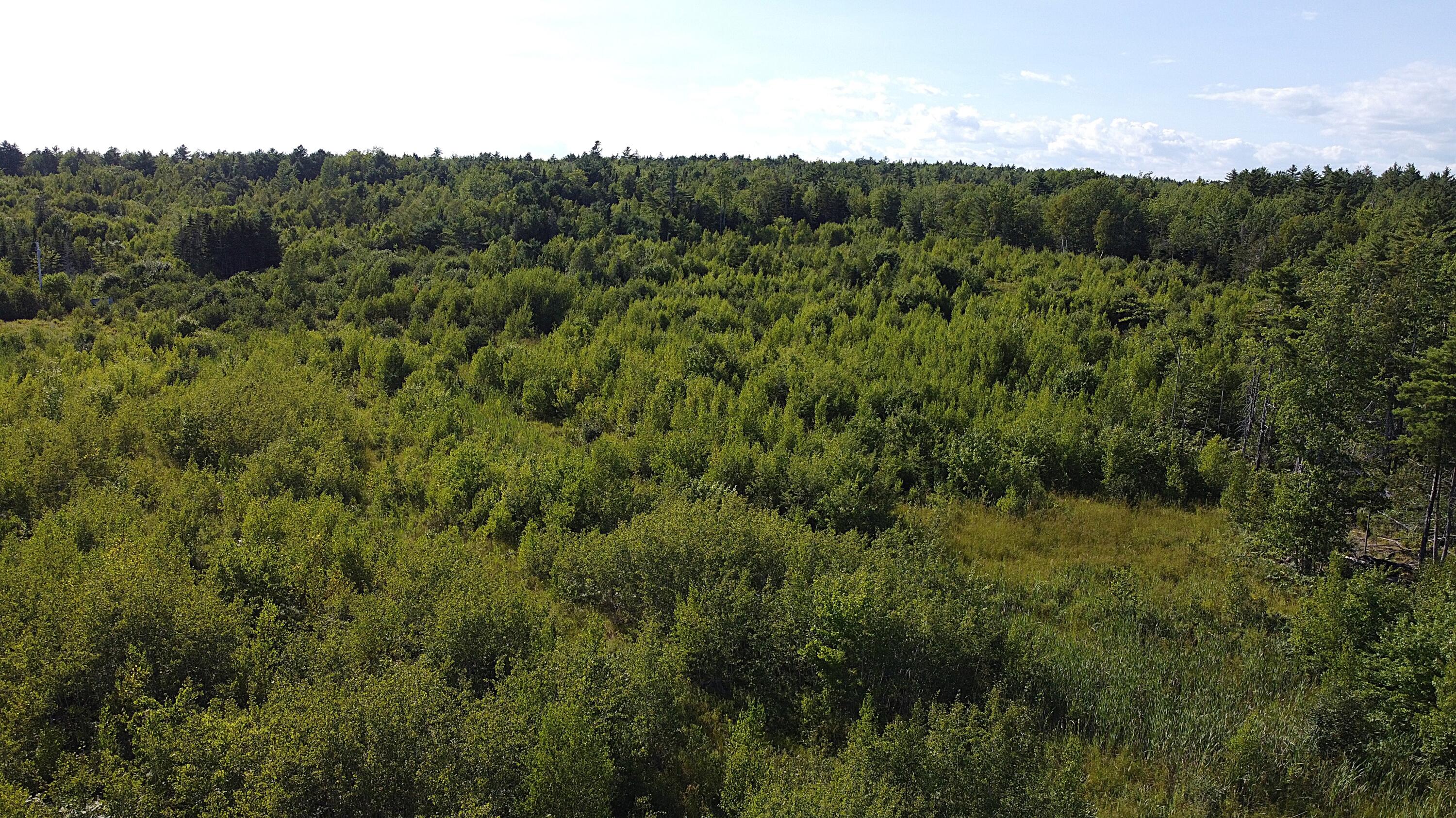 23-003-l Route 1 Gouldsboro ME 04607