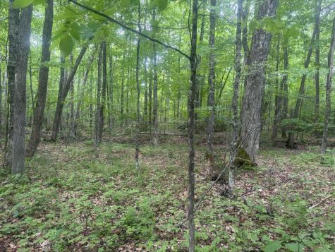 0000 Stream Road Moscow ME 04920