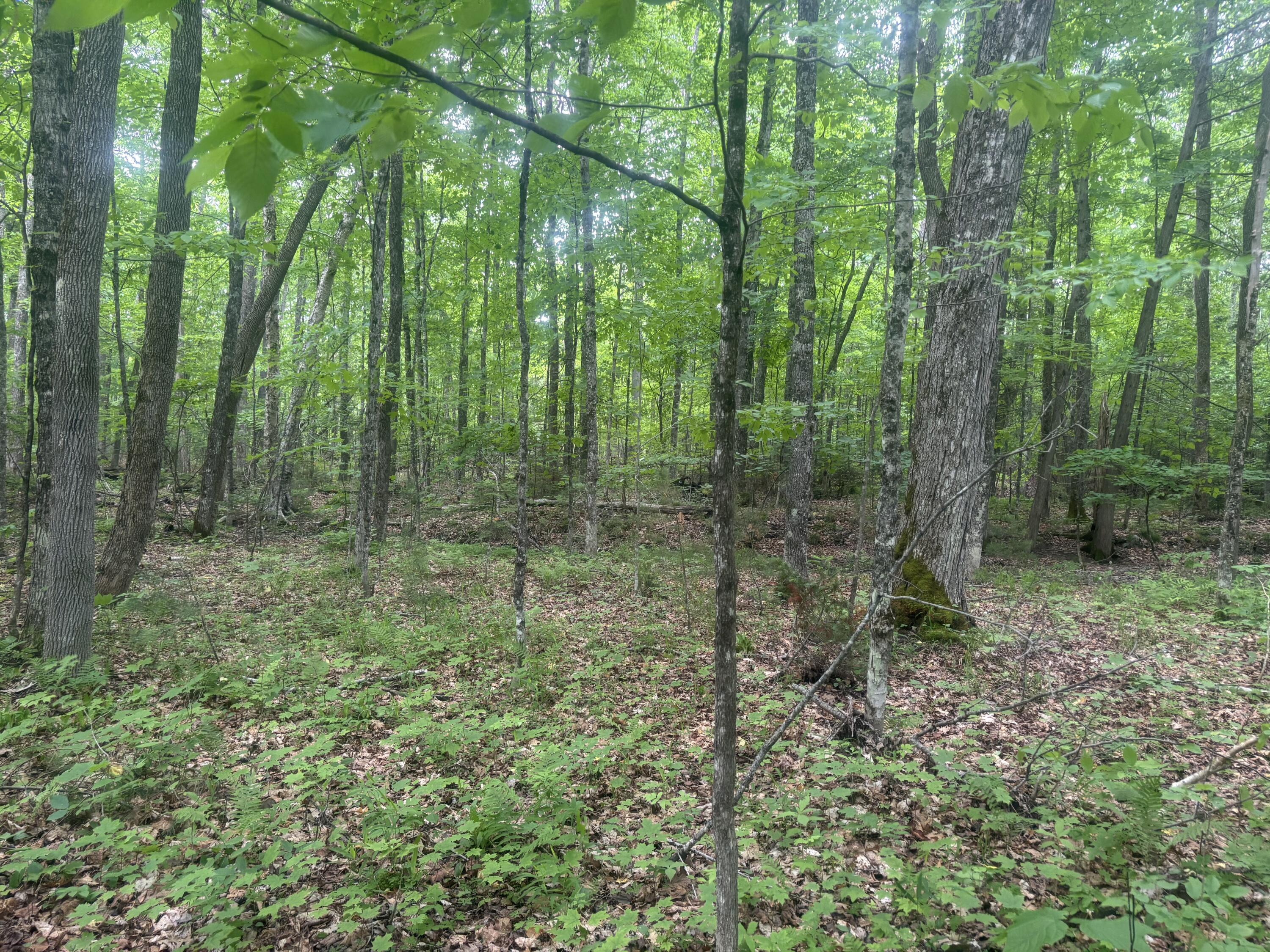 0000 Stream Road Moscow ME 04920