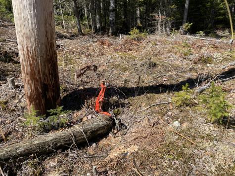 Lot 5c Journeys End Lane Surry ME 04684