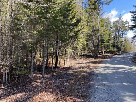 Lot 5c Journeys End Lane Surry ME 04684