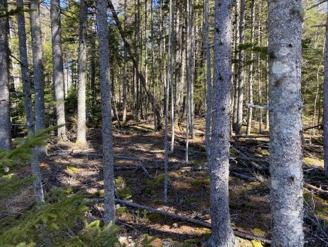 Lot 5c Journeys End Lane Surry ME 04684