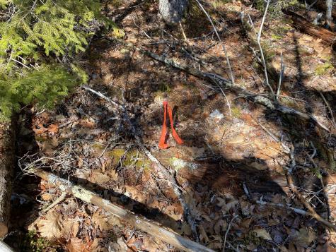 Lot 5c Journeys End Lane Surry ME 04684