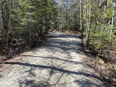 Lot 5c Journeys End Lane Surry ME 04684