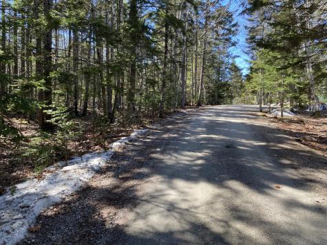 Lot 5c Journeys End Lane Surry ME 04684