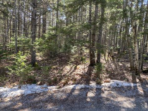 Lot 5c Journeys End Lane Surry ME 04684