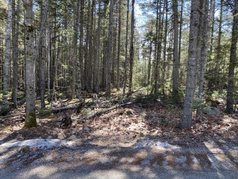 Lot 5c Journeys End Lane Surry ME 04684