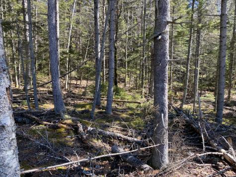 Lot 5c Journeys End Lane Surry ME 04684