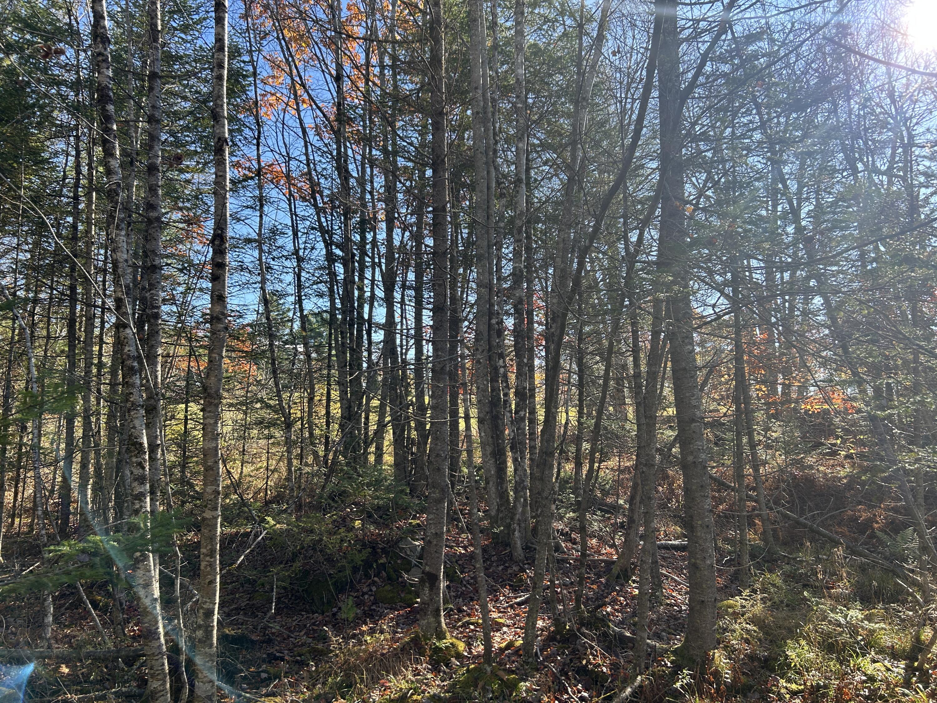 Lot A Waldoboro Road Washington ME 04574