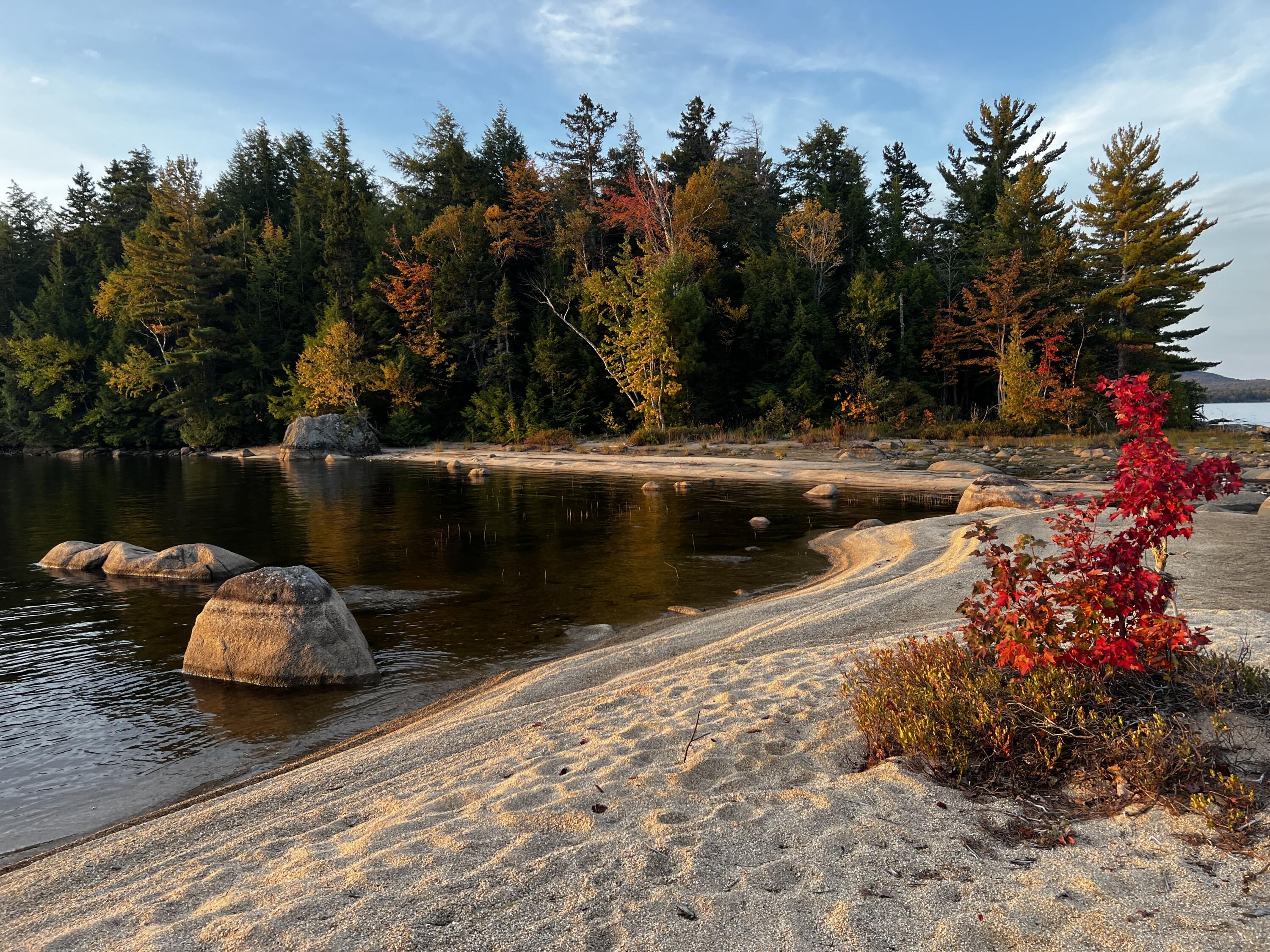 116 Pe033 T4 Indian Purchase Twp ME 04462