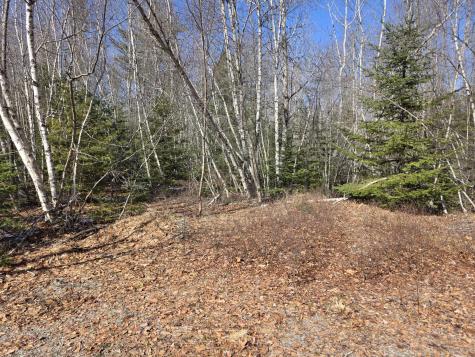 Lot 12-1 Christian Ridge Road Ellsworth ME 04605