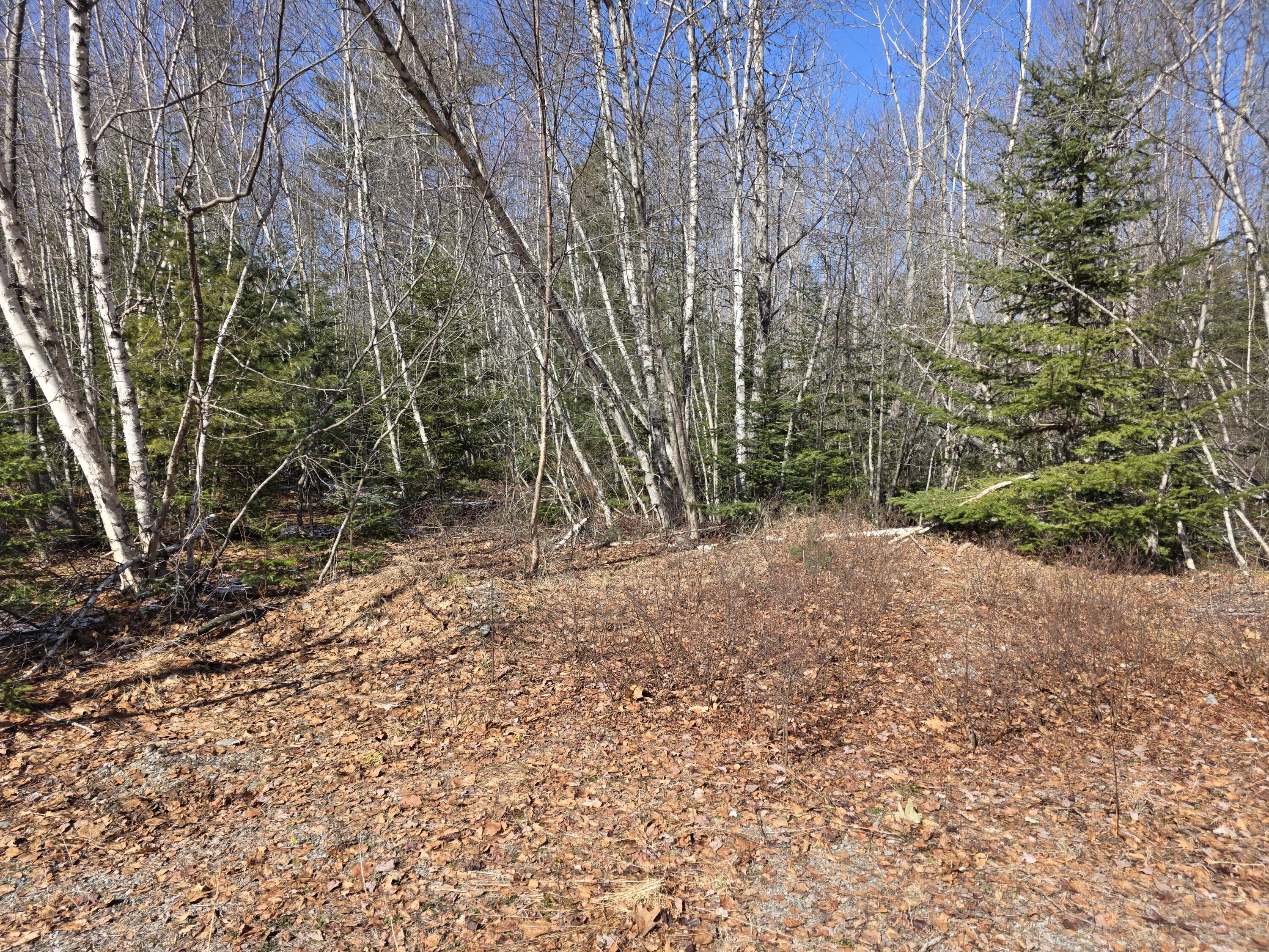 Lot 12-1 Christian Ridge Road Ellsworth ME 04605