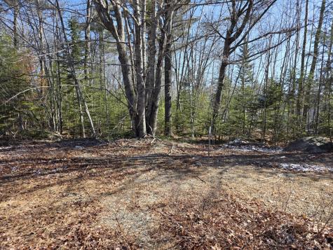 Lot 12-1 Christian Ridge Road Ellsworth ME 04605