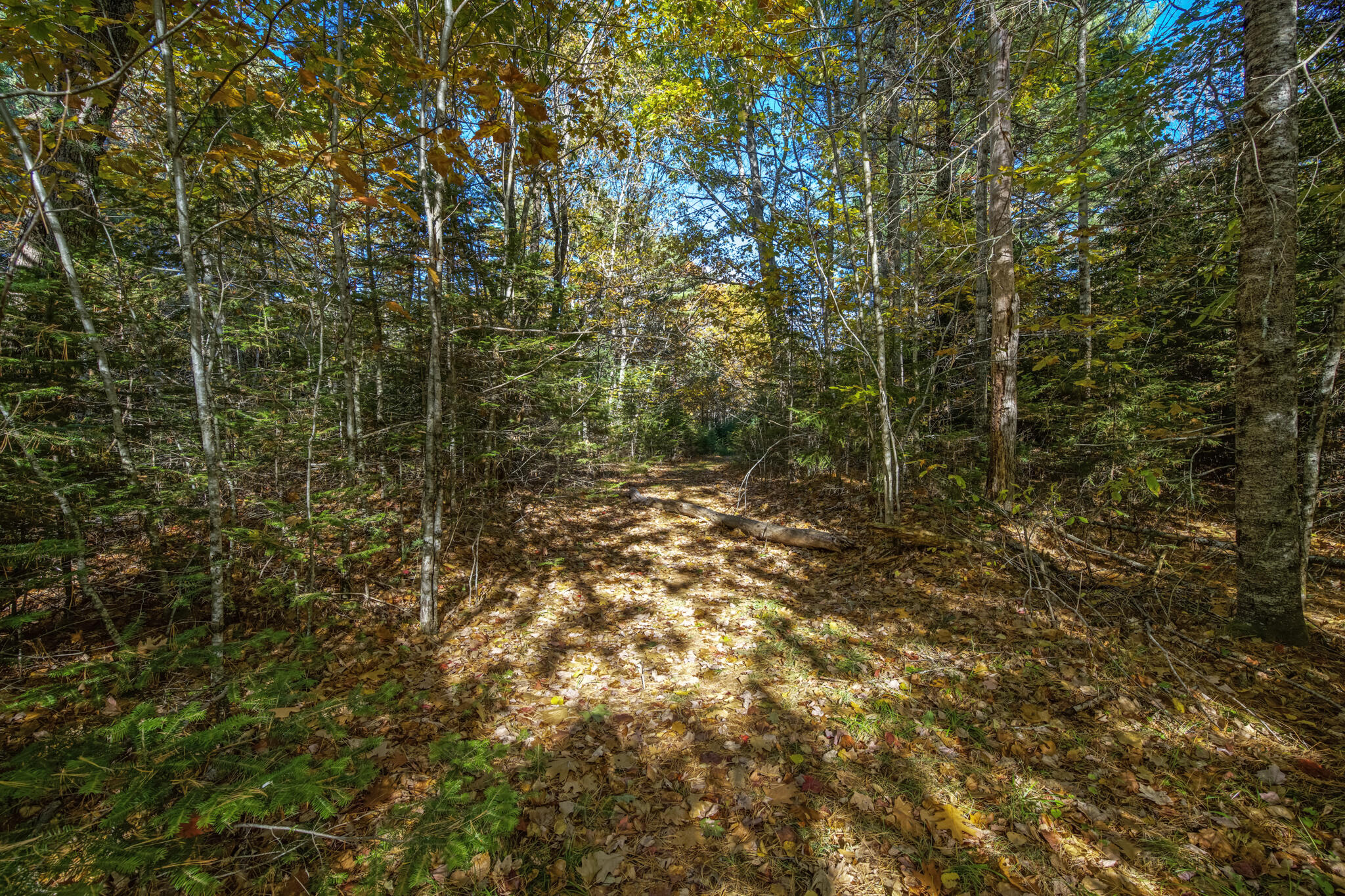 0 North Street Ellsworth ME 04605