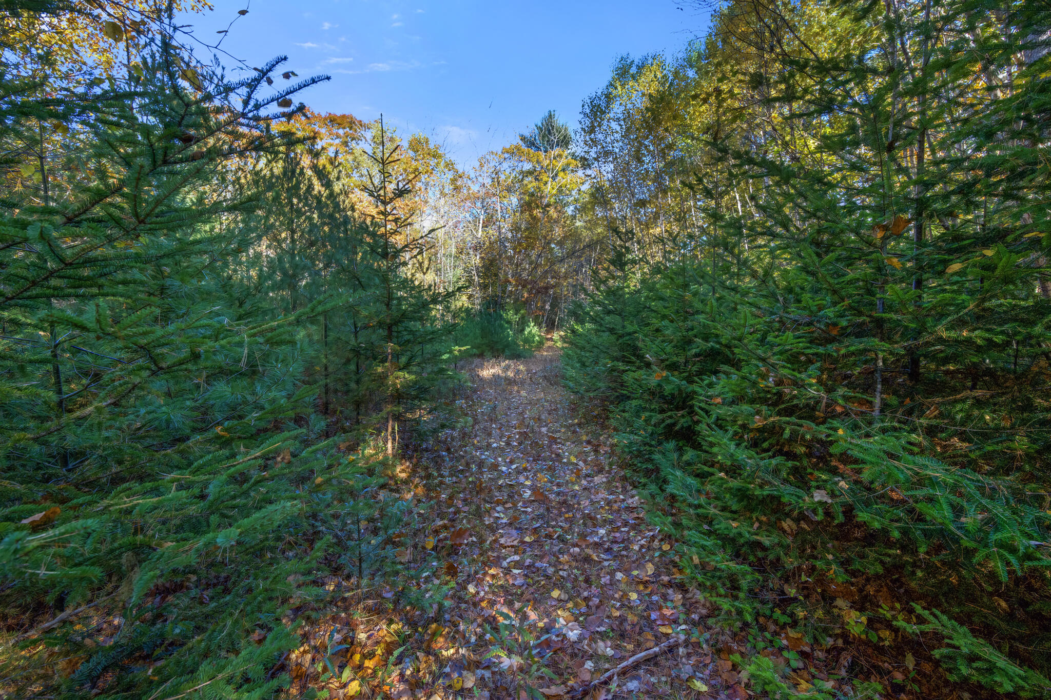 0 North Street Ellsworth ME 04605