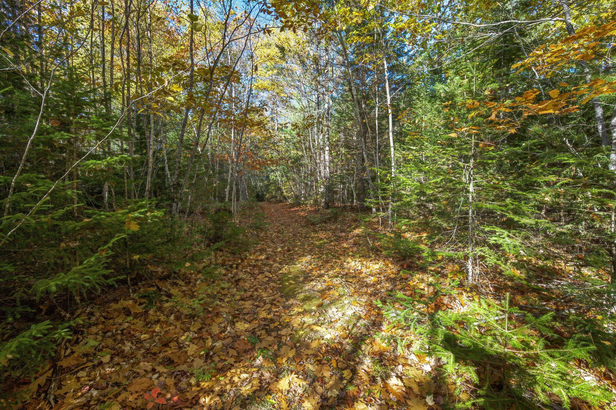 0 North Street Ellsworth ME 04605