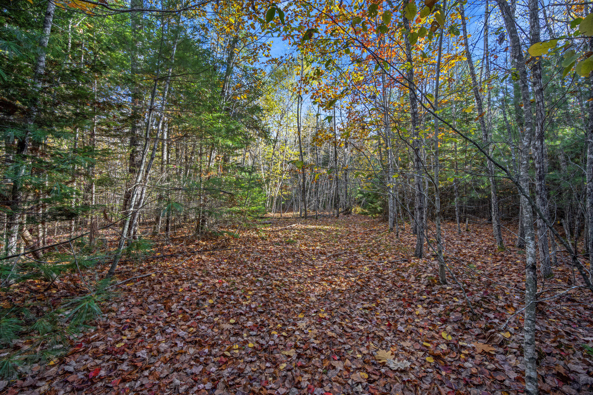 0 North Street Ellsworth ME 04605