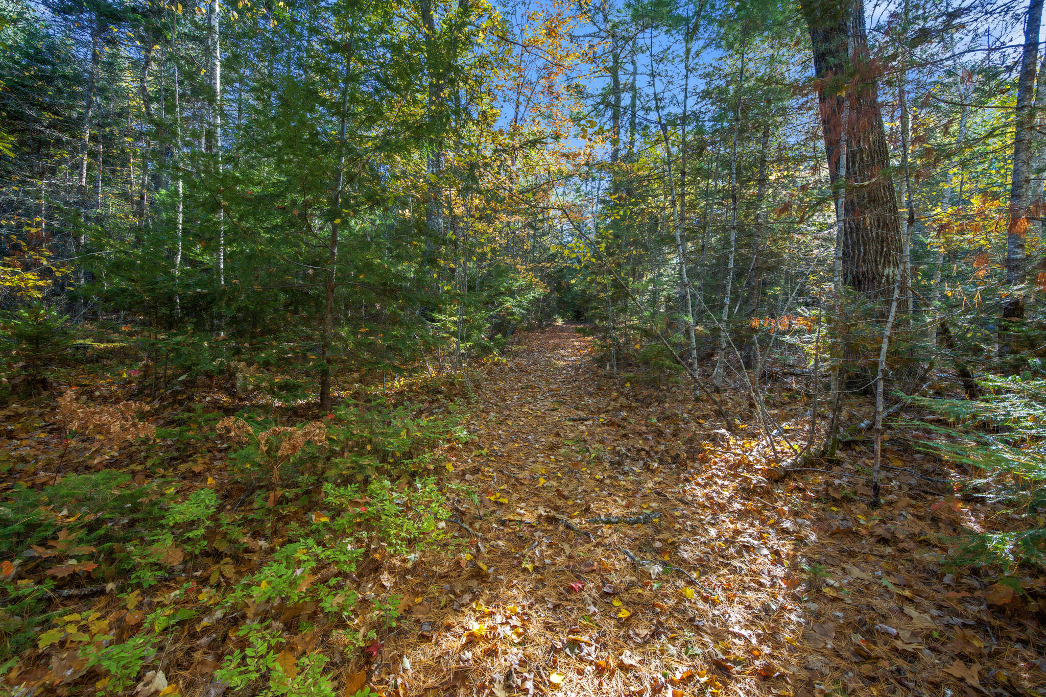 0 North Street Ellsworth ME 04605