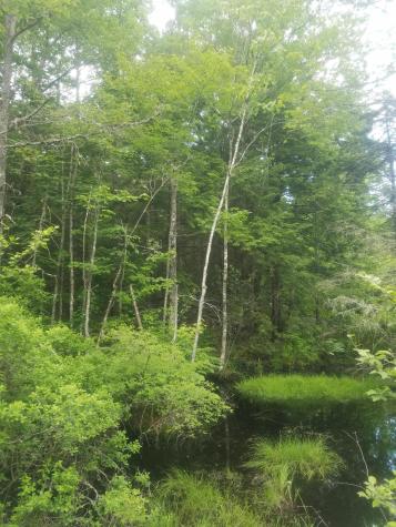 R10 005 E Route 180 Roads Otis ME 04605