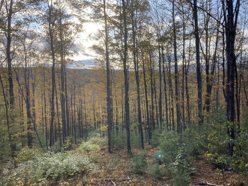 Lot 22 Sawyers Mills Road Starks ME 04911