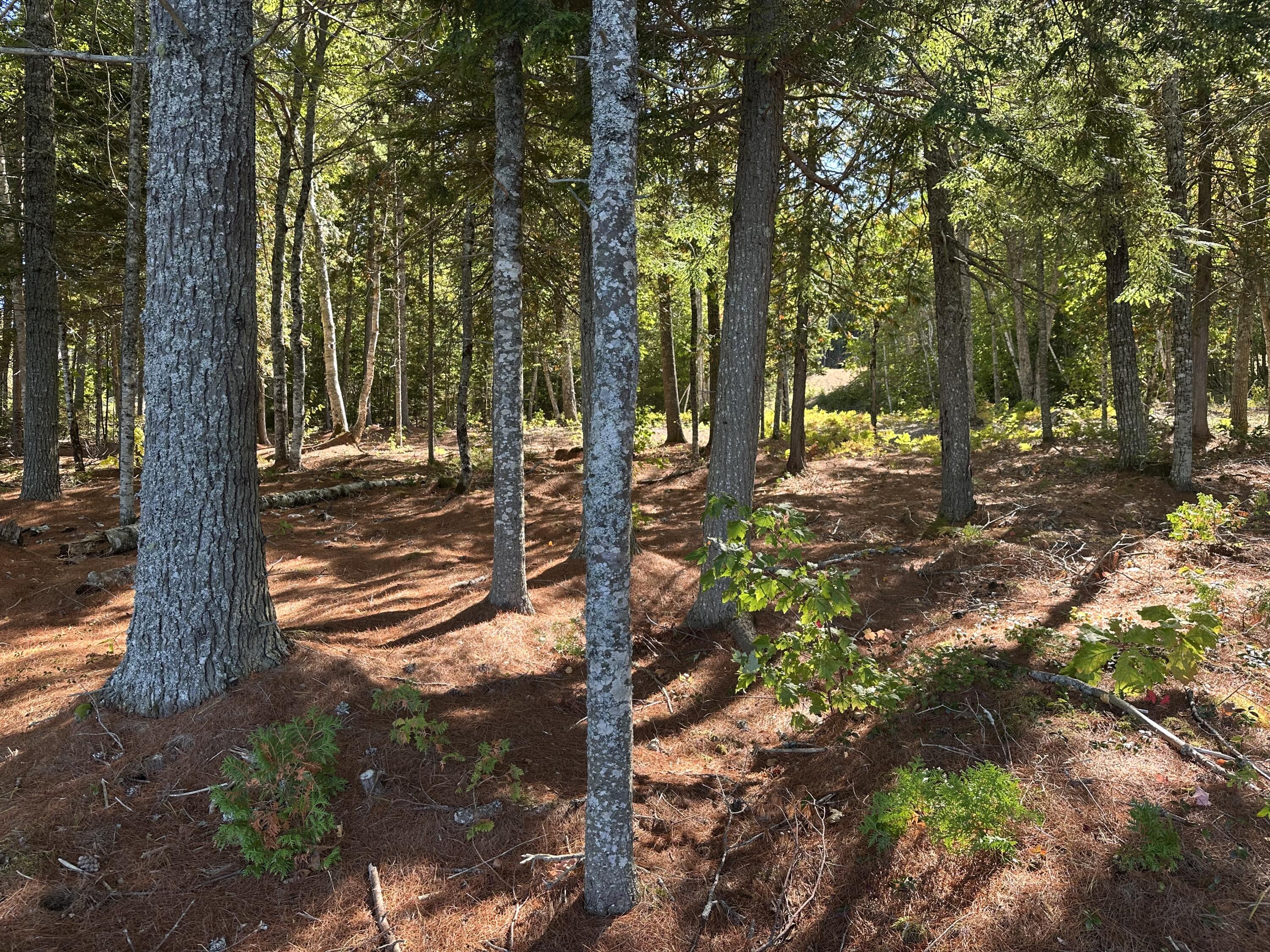 40 Jesses Beach Way Ellsworth ME 04605