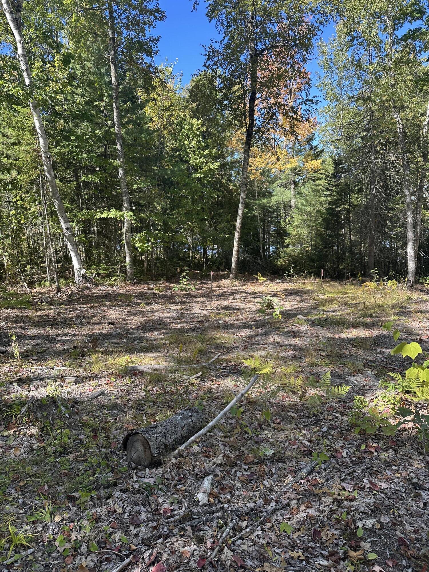 40 Jesses Beach Way Ellsworth ME 04605