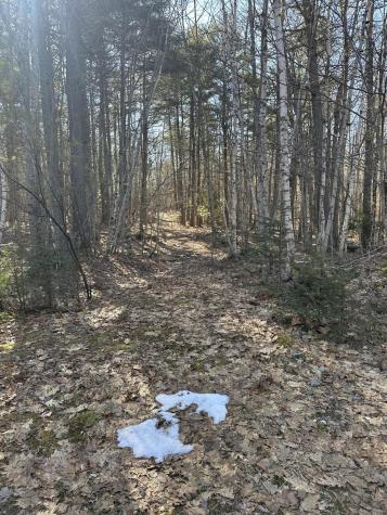 00 Nananka Trail Bristol ME 04539