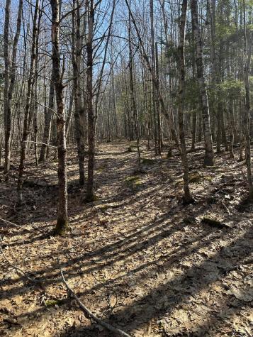 00 Nananka Trail Bristol ME 04539