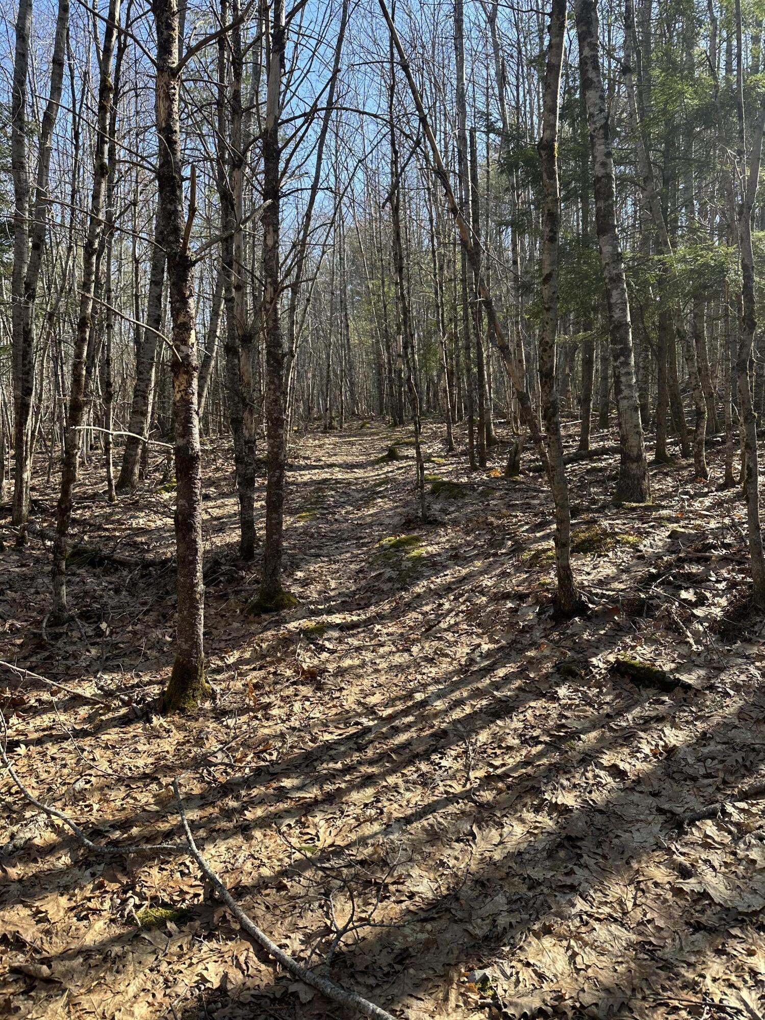 00 Nananka Trail Bristol ME 04539