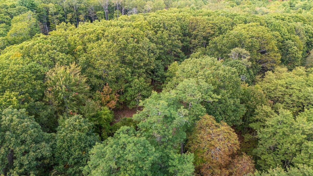 Lot 73 Tolman Road Warren ME 04864