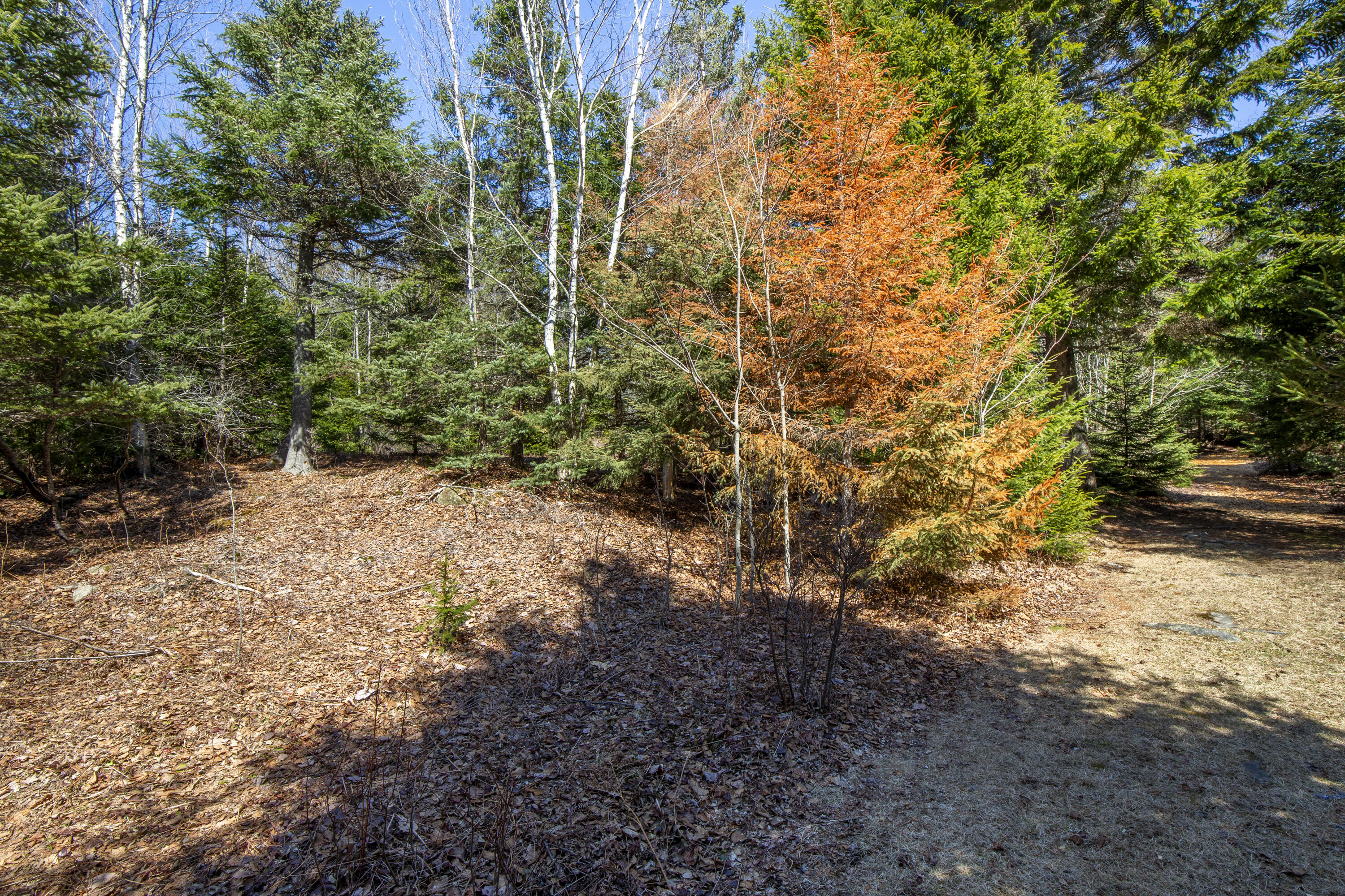 Lot C Lang Road Saint George ME 04860