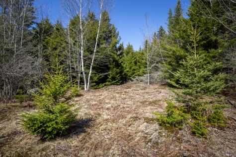 Lot C Lang Road Saint George ME 04860