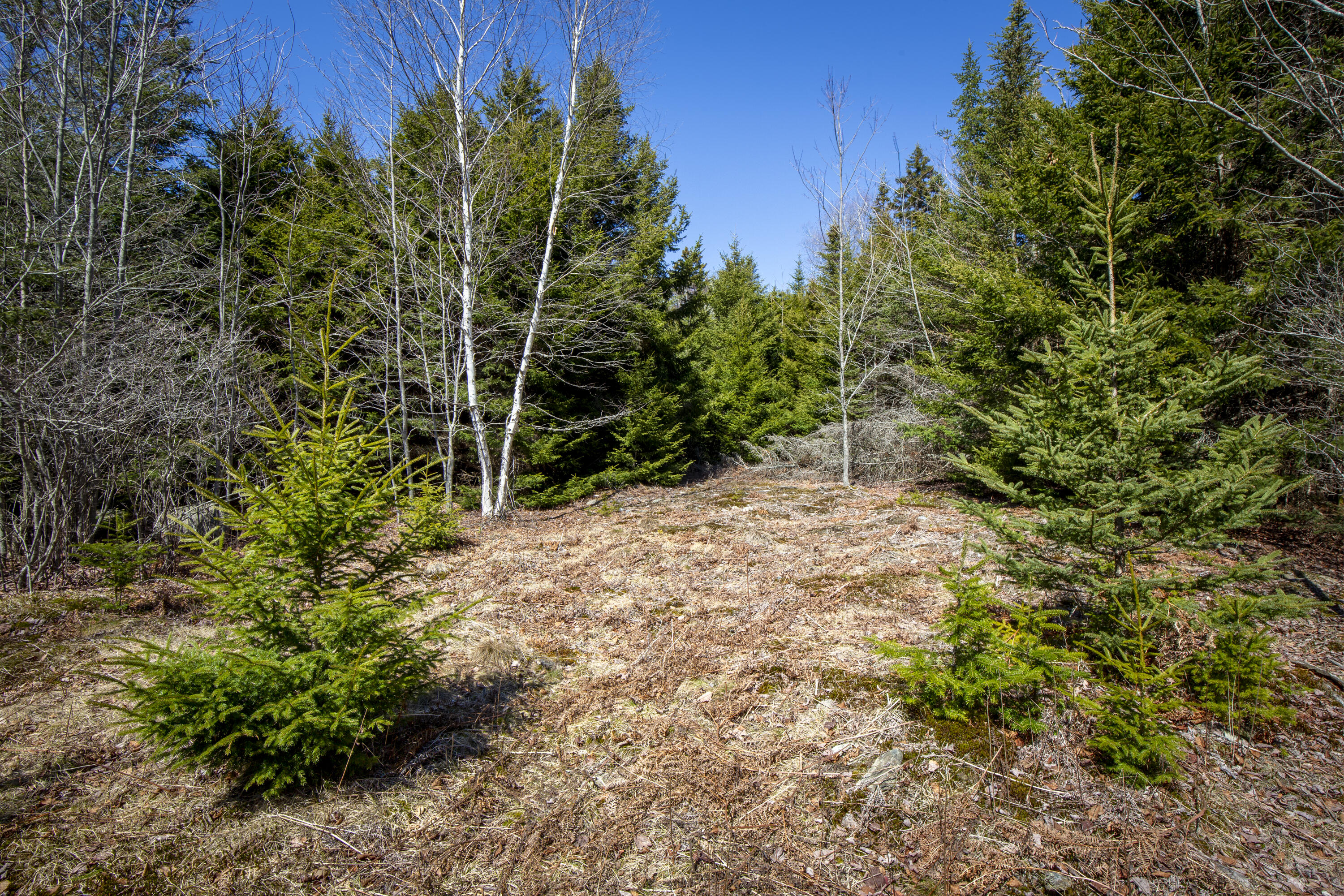 Lot C Lang Road Saint George ME 04860