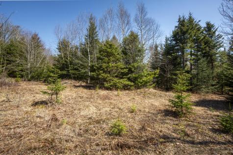 Lot C Lang Road Saint George ME 04860