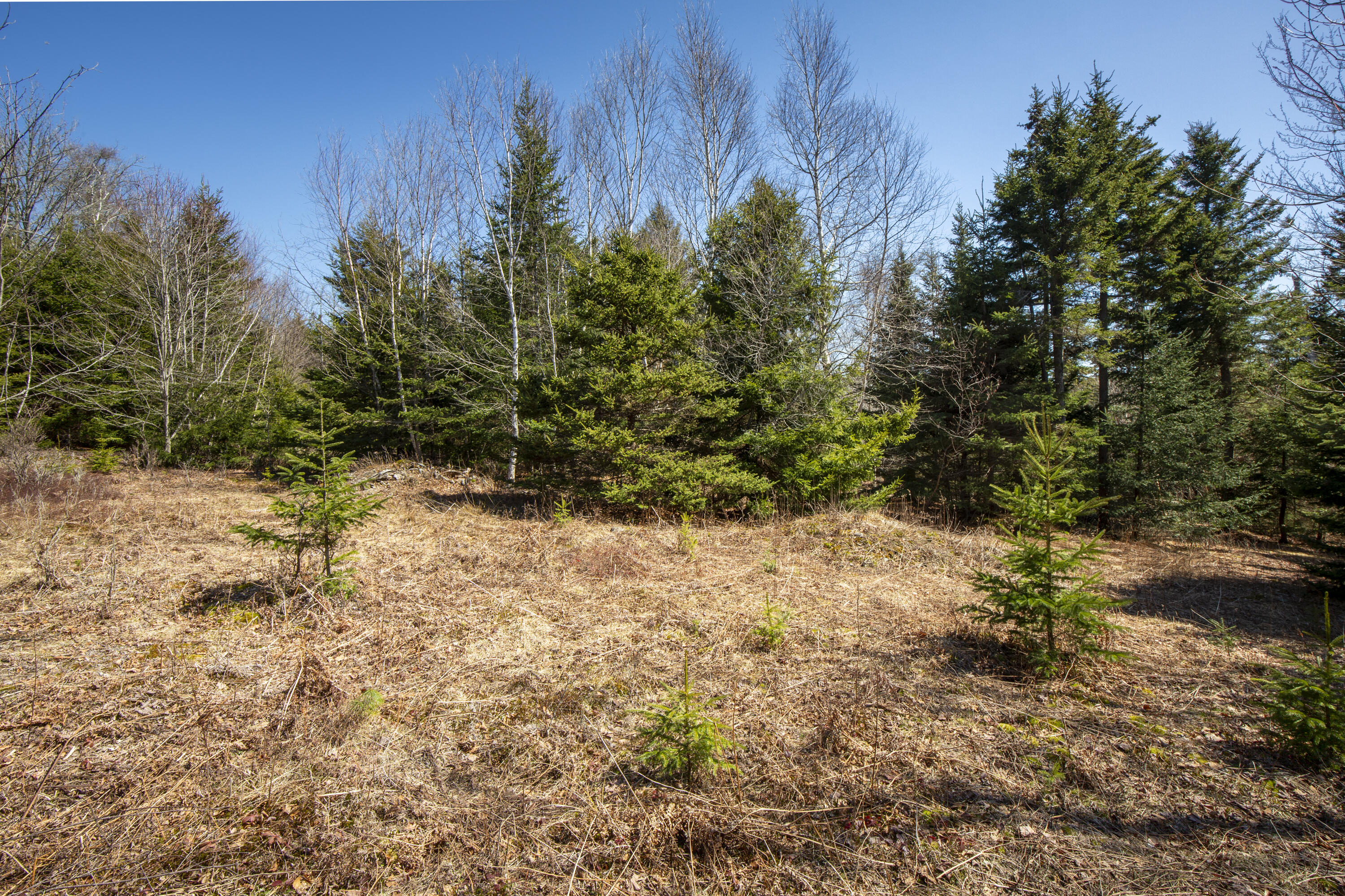 Lot C Lang Road Saint George ME 04860