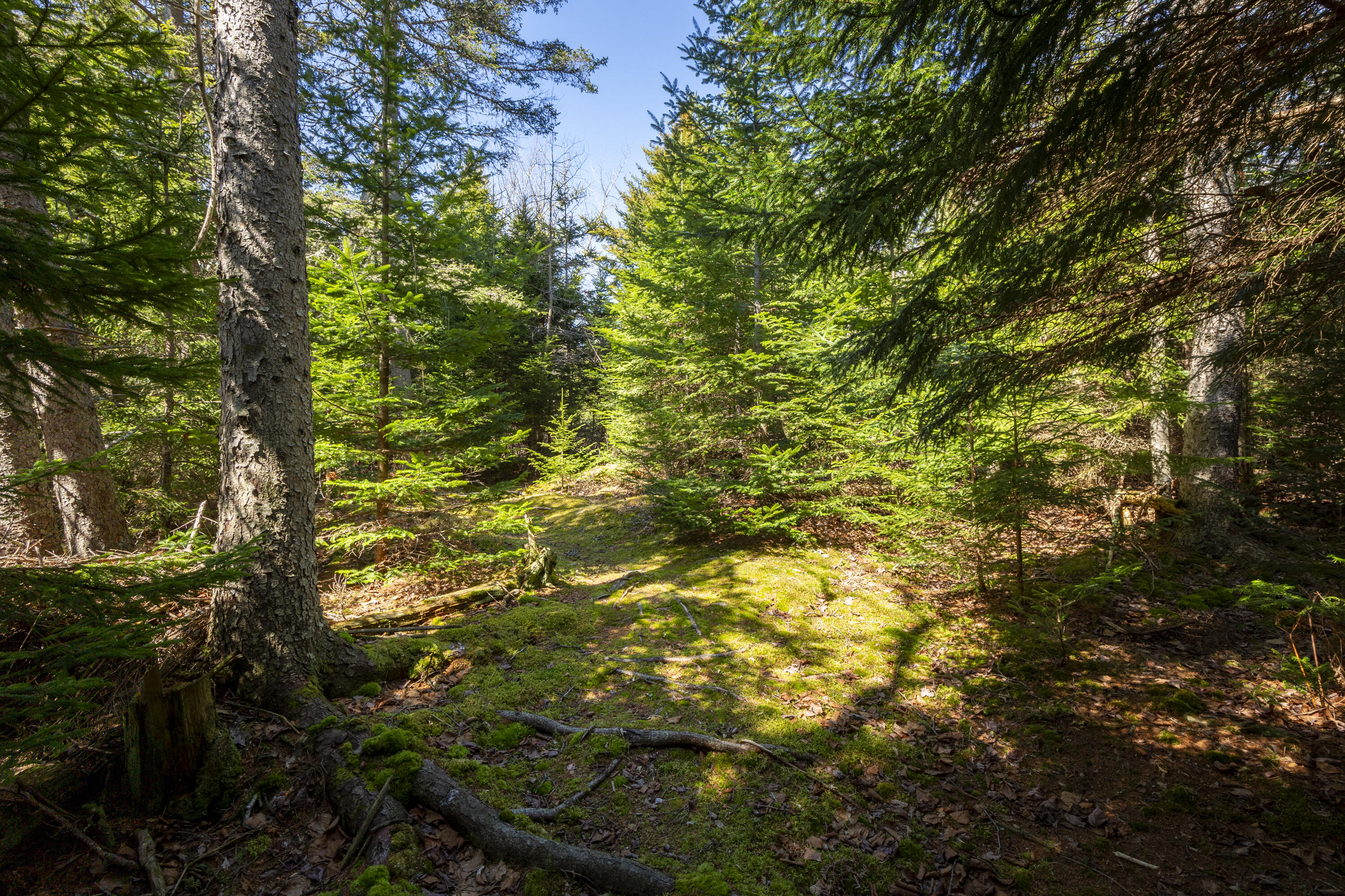 Lot C Lang Road Saint George ME 04860