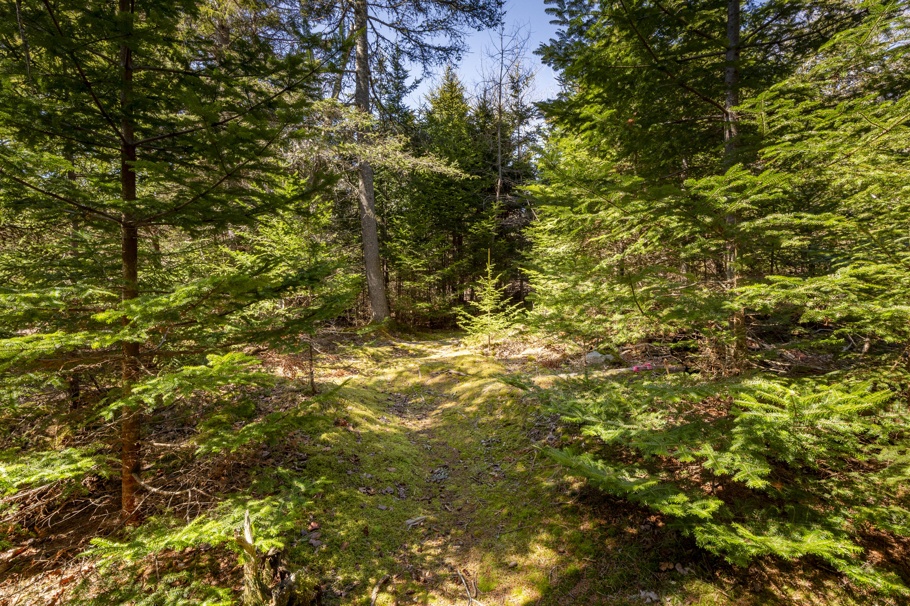 Lot C Lang Road Saint George ME 04860