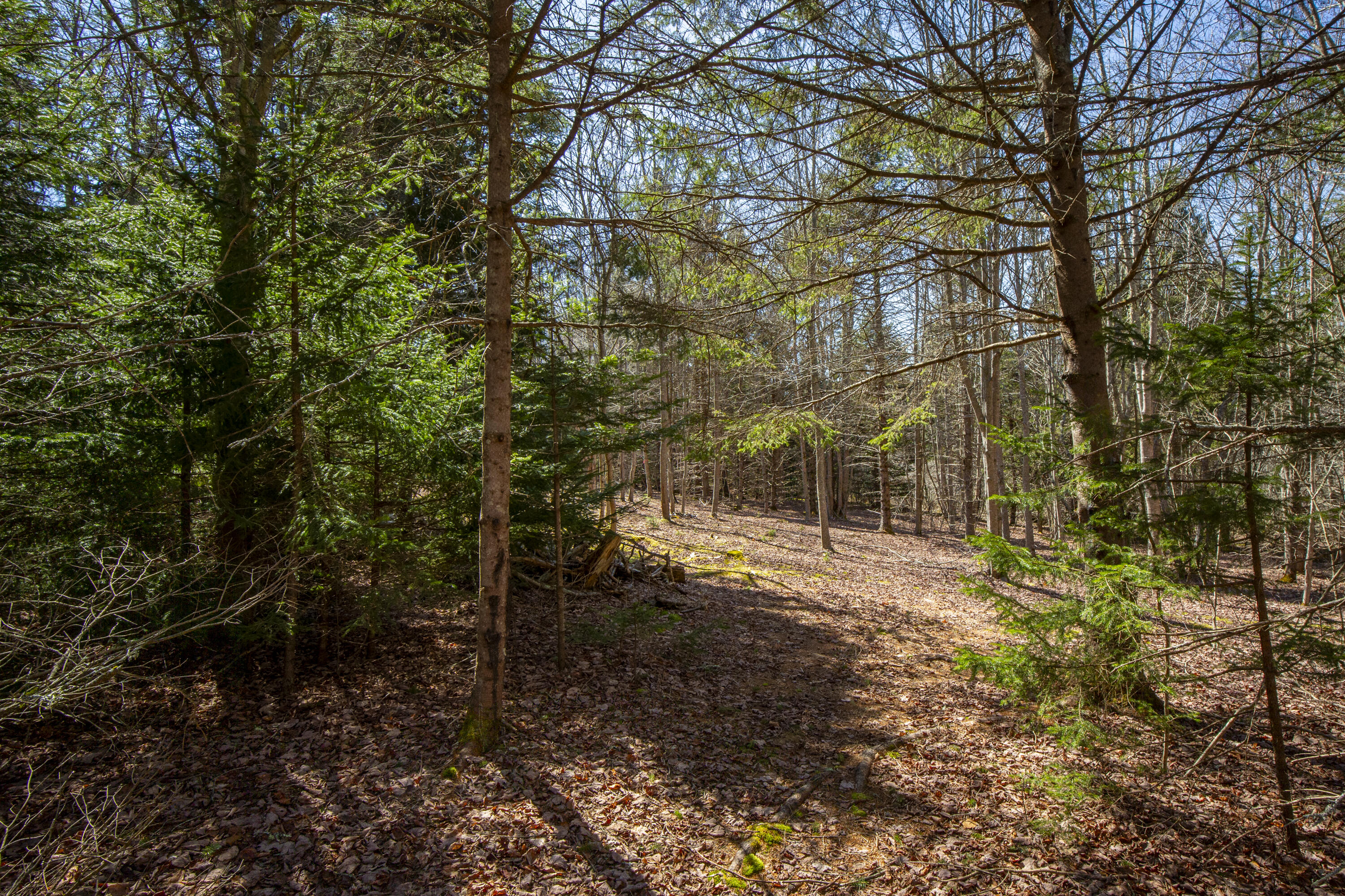 Lot C Lang Road Saint George ME 04860